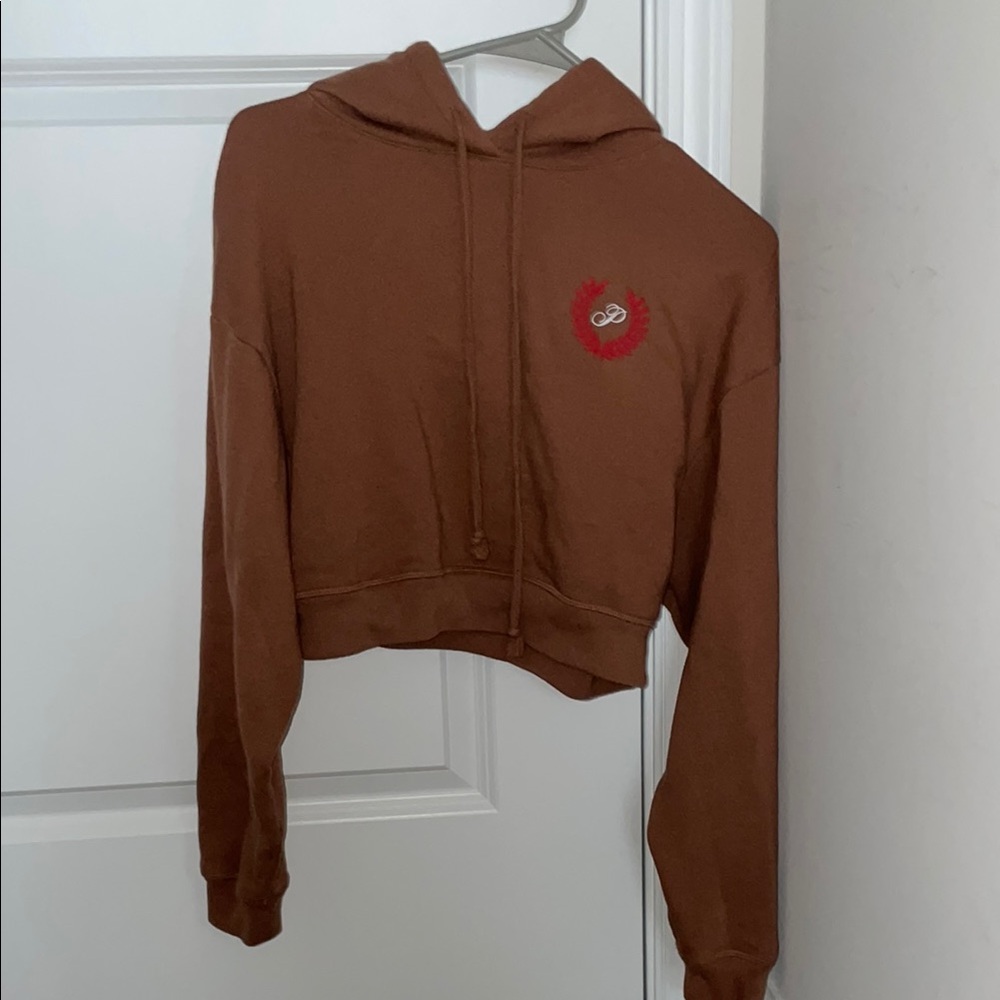 Brown Cropped Hoodie